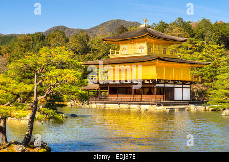 Kinkakuji (Pavillon d'or),un temple Zen au nord de Kyoto, Japon. Banque D'Images