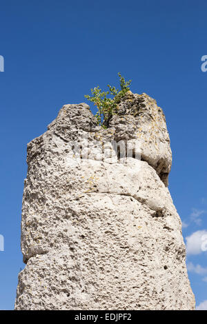 Pobiti Kamani (Mégalithes, forêt de pierre naturelle unique phénomène Rock). Banque D'Images