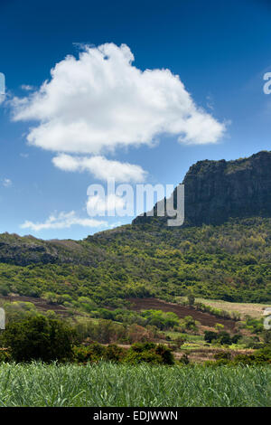 L'Ile Maurice, Creve Coeur, nuage au-dessus de montagne Deux Mamelles Banque D'Images