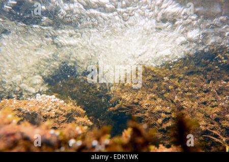Ruisseau de montagne, des bulles sur les rochers, prend sous la surface des eaux. , Cumbria (Royaume-Uni) Banque D'Images