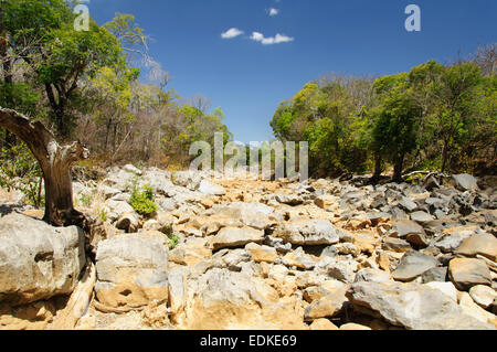 Lit de rivière à sec à Madagascar Banque D'Images