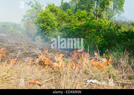 Un feu de broussailles fondre un paysage tout entier Banque D'Images