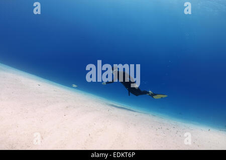 Plus de nage apnéiste un fond sablonneux, Red Sea, Egypt Banque D'Images