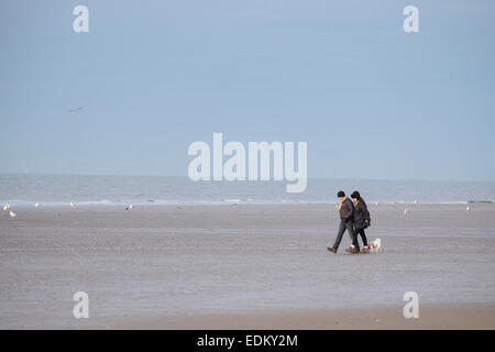 Blackpool Lancashire : waqlking chien sur la plage Banque D'Images