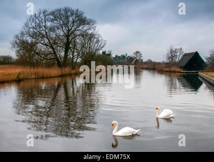 Turf Fen Moulin, Barton Turf Norwich Norfolk Angleterre UK Banque D'Images