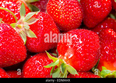 Libre d'un tas de fraises. Banque D'Images