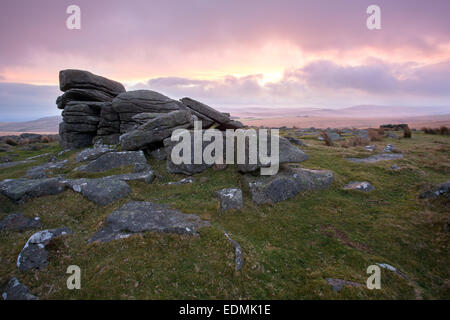 Rose doux lever du soleil le Rowtor Dartmoor National Park Devon Uk Banque D'Images