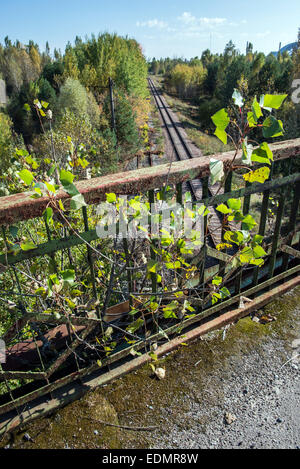 Les voies de chemin de fer abandonnée Pripyat nesr ville, zone d'exclusion de Tchernobyl, l'Ukraine Banque D'Images