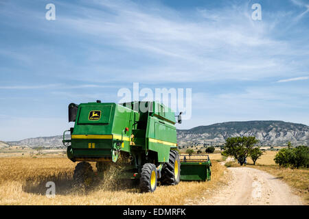 Champ de céréales récolte en été, au paysage de Monegros, Aragón, Espagne Banque D'Images