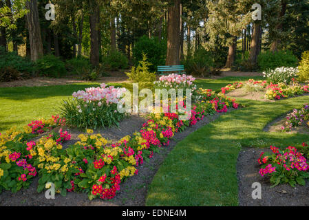 Flower bed, Beacon Hill Park, Victoria, Colombie-Britannique, Canada Banque D'Images