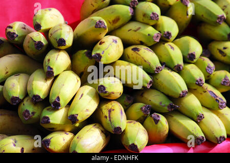 Acuminata, balbisiana, banane, tas, à proximité, de l'alimentation, produits frais, fruits, plein, vert, sain, Musa, Musaceae, naturels, biologiques, jusqu' Banque D'Images