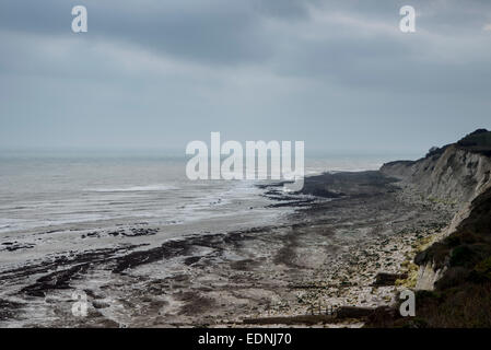 Une vue de près de l'apogée de l'ouest, les falaises de craie, à St Asaph, Eastbourne, East Sussex pris une marée basse Banque D'Images