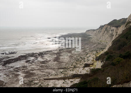 Une vue de près de l'apogée de l'ouest, les falaises de craie, à St Asaph, Eastbourne, East Sussex pris une marée basse Banque D'Images