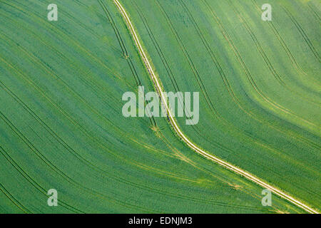 Vue aérienne, champ de blé vert avec une route agricole, Landshut, Basse-Bavière, Bavière, Allemagne Banque D'Images