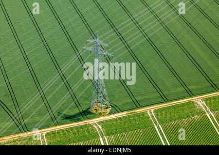 Vue aérienne, pylône de transmission à haute tension sur un champ vert whaet, Landshut, Basse-Bavière, Bavière, Allemagne Banque D'Images