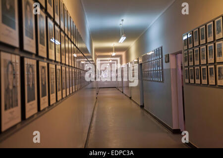 Des photographies de prisonniers dans le couloir principal, bloc 11, Musée d'Auschwitz-Birkenau, Oswiecim, Pologne Banque D'Images