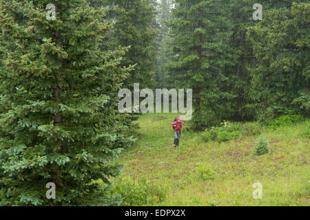 Une femme en randonnée dans un orage sur les molas Pass, San Juan National Forest, Silverton, Colorado. Banque D'Images