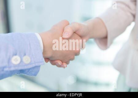 Close up of Business People Shaking Hands Banque D'Images
