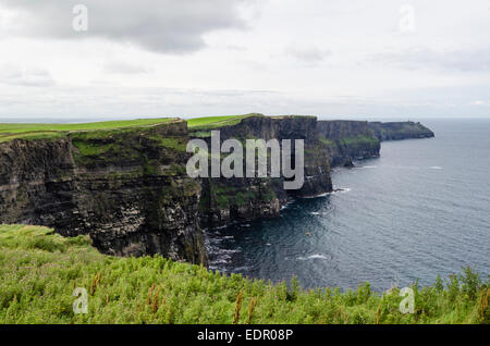 Falaise de Moher, Irlande Banque D'Images