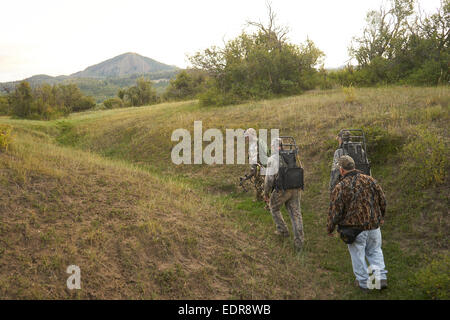 La chasse au cerf dans Pagosa Springs au Colorado. Banque D'Images