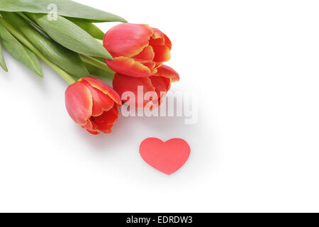 Tulipes rouges frais avec du papier coeur sur blanc, copie de l'espace pour texte de Valentines Banque D'Images