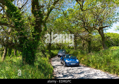 Mini Cabriolet bleu conduite salon de voiture le long de chemin de campagne à Hartland dans le Nord du Devon, dans le sud de l'Angleterre, Royaume-Uni Banque D'Images