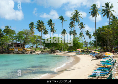 Dominikanische Republik, Halbinsel Samana, Los Galeras Playa Rincon Banque D'Images