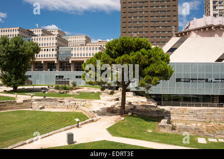 Musée d'Histoire de Marseille (Marseille) Musée d'histoire, Bouches du Rhône, PACA, France Banque D'Images