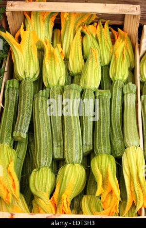 Le bac de courgettes avec des fleurs affiché dans un greengrocery Banque D'Images