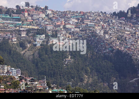 Une colline à forte densité de population à Shimla, dans le Nord de l'Inde dans les contreforts de l'himalaya Banque D'Images