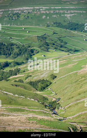 Regardant vers le bas du col Buttertubs Swaledale, North Yorkshire, UK. Banque D'Images