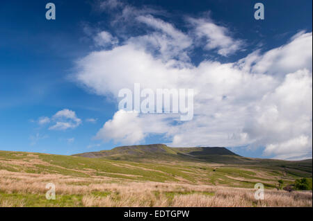 Le sanglier est tombé, Mallerstang, dans la haute vallée de l'Eden, Cumbria, Royaume-Uni Banque D'Images