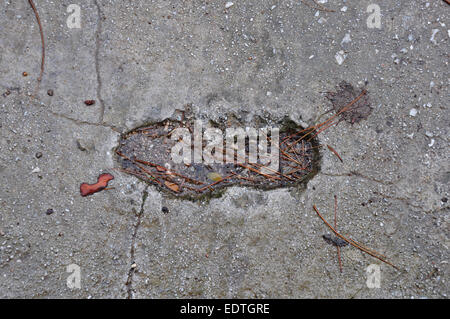 Et laisse l'empreinte sur la surface de béton résumé fond boueux. Banque D'Images