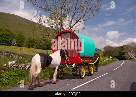 Caravanes à cheval en direction de la foire du cheval à Appleby in Westmorland le long de l'A683 entre Sedbergh et Kirkby Stephen Banque D'Images