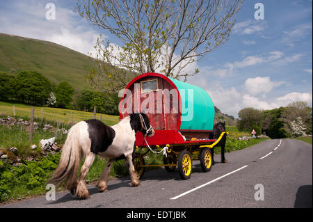 Caravanes à cheval en direction de la foire du cheval à Appleby in Westmorland le long de l'A683 entre Sedbergh et Kirkby Stephen Banque D'Images