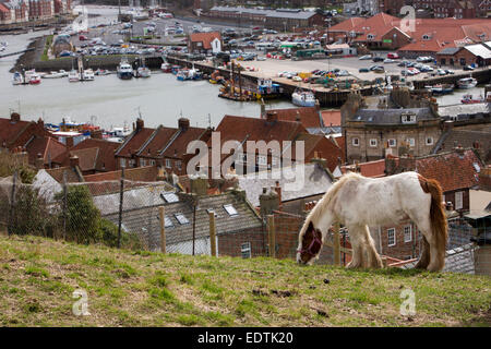 Royaume-uni, Angleterre, dans le Yorkshire, Whitby, en calèche dans la zone au-dessus de la ville Banque D'Images