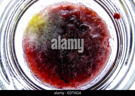 Marmelade Verschimmelte einem Glas,confiture moisie dans un pot de confiture,, confitures, tartinades, Détail, dégoût, dégoûtante, nourriture, toxiques, Glas Banque D'Images