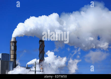 La pollution de l'air par des cheminées à une usine de pâtes et papiers, Terrace Bay, Ontario, Canada Banque D'Images