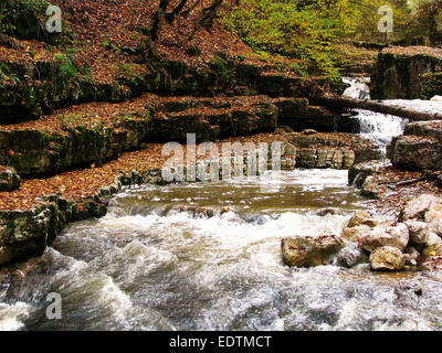 Cascade dans la forêt à Lastiver, Arménie Banque D'Images