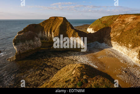 Les hautes falaises de craie à Flamborough Head avec une vue sur la mer du Nord à l'aube près de Bridlington, Yorkshire, UK. Banque D'Images