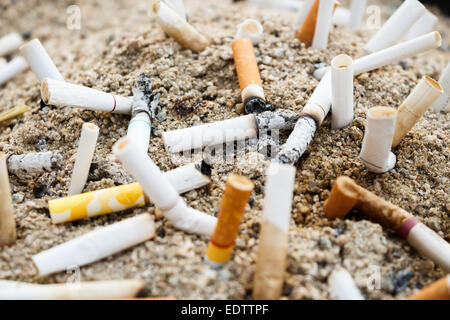 Beaucoup de cigarettes brûlées sur sable et cendrier Banque D'Images