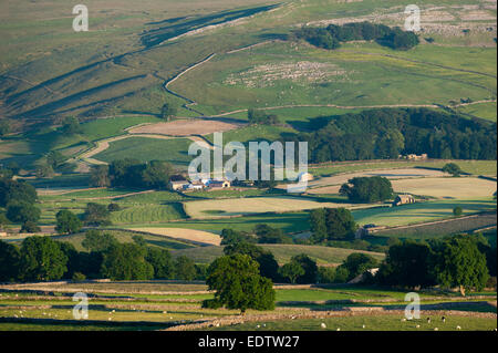 Les terres agricoles autour de Ravenstonedale dans l'Eden Valley, Cumbria, sur une agréable soirée d'été. Banque D'Images