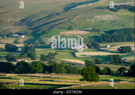 Les terres agricoles autour de Ravenstonedale dans l'Eden Valley, Cumbria, sur une agréable soirée d'été. Banque D'Images