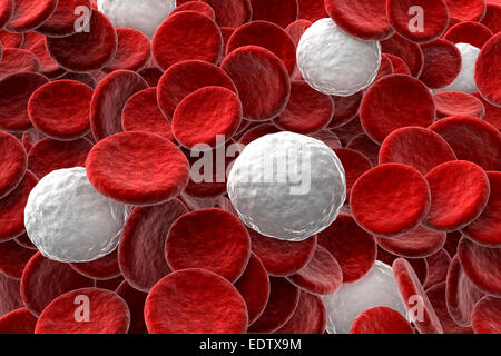 Le rendu 3D de cellules de sang rouge et blanc Banque D'Images