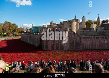 Coquelicots à tour de Londres le 1er novembre 2014 Banque D'Images