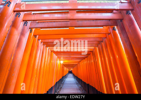 Des milliers de portes torii vermillon au Sanctuaire Fushimi Inari Taisha à Kyoto, Japon Banque D'Images