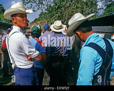 Agriculteurs mennonites à la ferme aux enchères à Spanish Lookout settlement, Belize, en Amérique centrale, Juin 1985 Banque D'Images