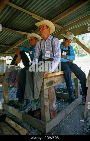 Les mennonites au règlement Spanish Lookout farm vente aux enchères, Belize, en Amérique centrale, Juin 1985 Banque D'Images