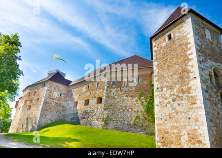 Le château de Ljubljana, Slovénie, Europe. Banque D'Images