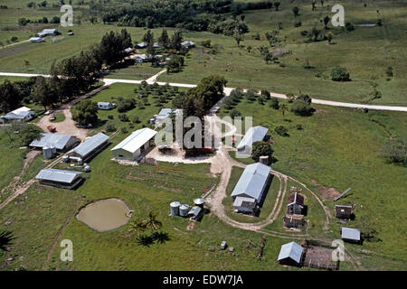 Fermes de Spanish Lookout règlement Mennonite de l'air, Belize, en Amérique centrale, Juin 1985 Banque D'Images